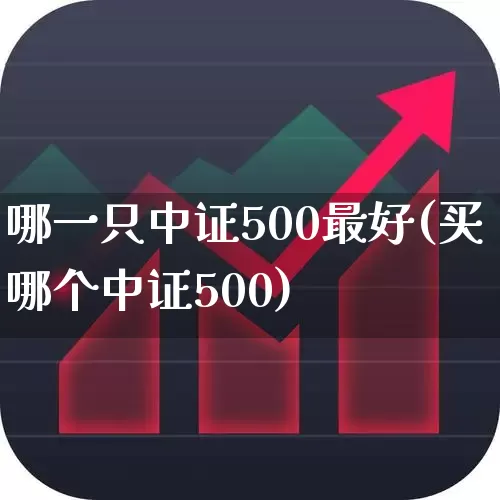 哪一只中证500最好(买哪个中证500)_https://www.fzdzcxj.com_深交所_第1张