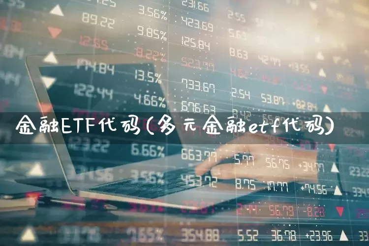 金融ETF代码(多元金融etf代码)_https://www.fzdzcxj.com_深交所_第1张