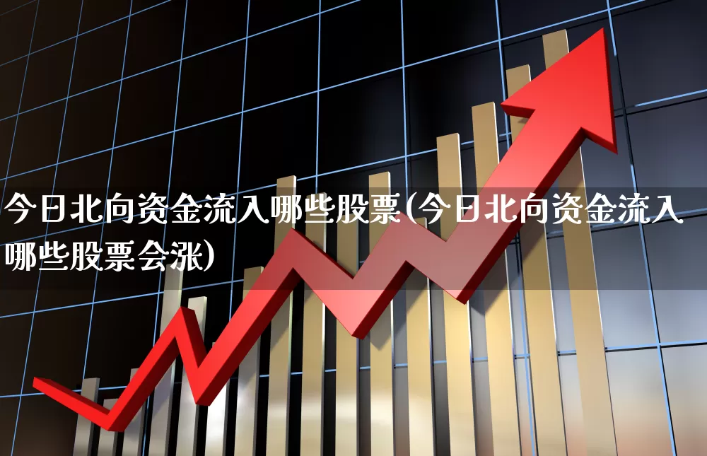 今日北向资金流入哪些股票(今日北向资金流入哪些股票会涨)_https://www.fzdzcxj.com_上交所_第1张