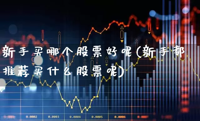 新手买哪个股票好呢(新手都推荐买什么股票呢)_https://www.fzdzcxj.com_深交所_第1张