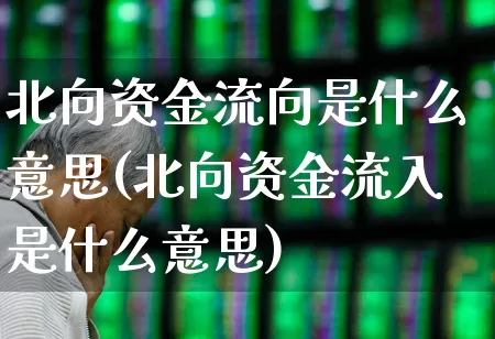 北向资金流向是什么意思(北向资金流入是什么意思)_https://www.fzdzcxj.com_深交所_第1张