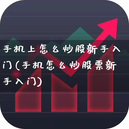 手机上怎么炒股新手入门(手机怎么炒股票新手入门)_https://www.fzdzcxj.com_深交所_第1张