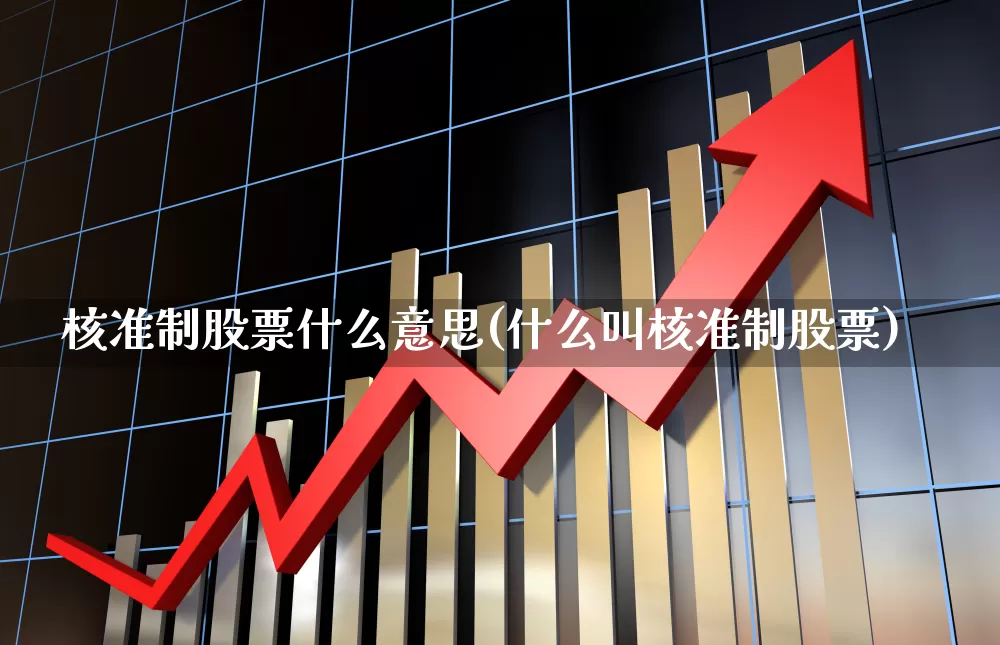核准制股票什么意思(什么叫核准制股票)_https://www.fzdzcxj.com_深交所_第1张