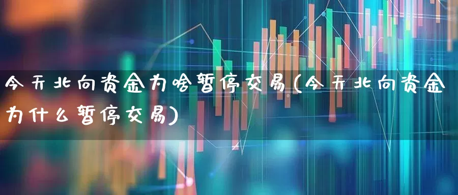 今天北向资金为啥暂停交易(今天北向资金为什么暂停交易)_https://www.fzdzcxj.com_创业板_第1张