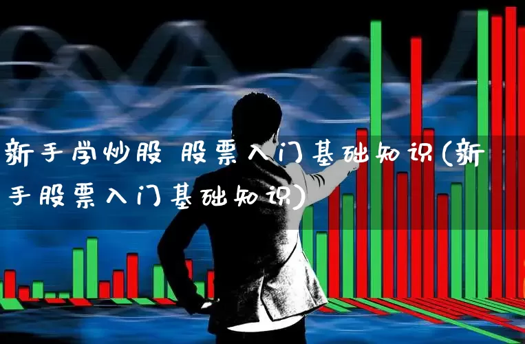 新手学炒股 股票入门基础知识(新手股票入门基础知识)_https://www.fzdzcxj.com_上交所_第1张