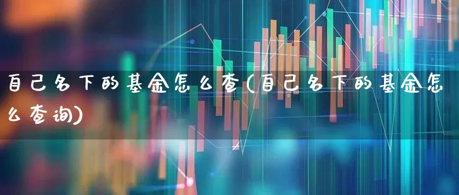 自己名下的基金怎么查(自己名下的基金怎么查询)_https://www.fzdzcxj.com_创业板_第1张