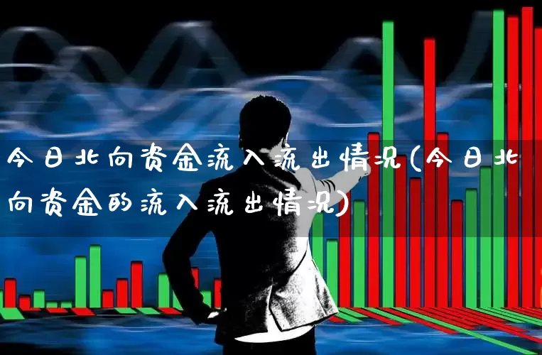 今日北向资金流入流出情况(今日北向资金的流入流出情况)_https://www.fzdzcxj.com_上交所_第1张