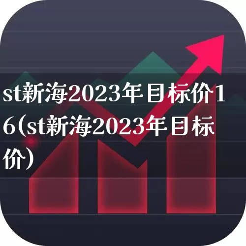 st新海2023年目标价16(st新海2023年目标价)_https://www.fzdzcxj.com_北交所_第1张