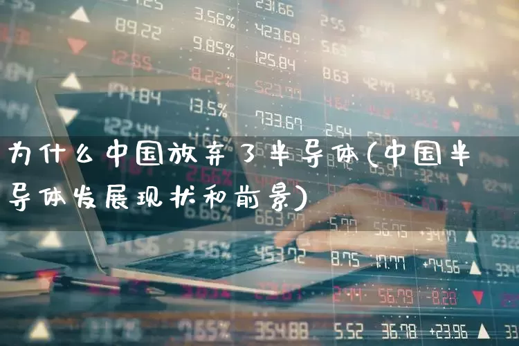 为什么中国放弃了半导体(中国半导体发展现状和前景)_https://www.fzdzcxj.com_北交所_第1张