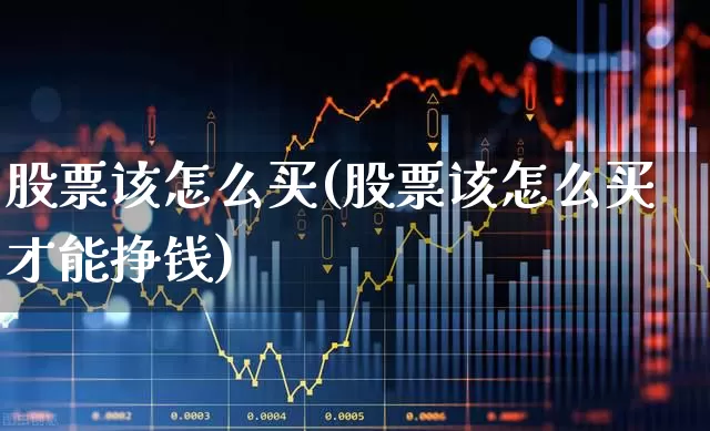 股票该怎么买(股票该怎么买才能挣钱)_https://www.fzdzcxj.com_深交所_第1张