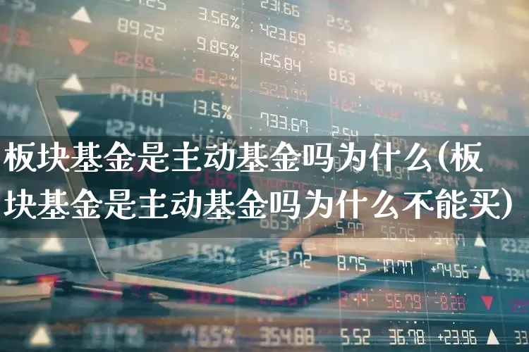 板块基金是主动基金吗为什么(板块基金是主动基金吗为什么不能买)_https://www.fzdzcxj.com_上交所_第1张