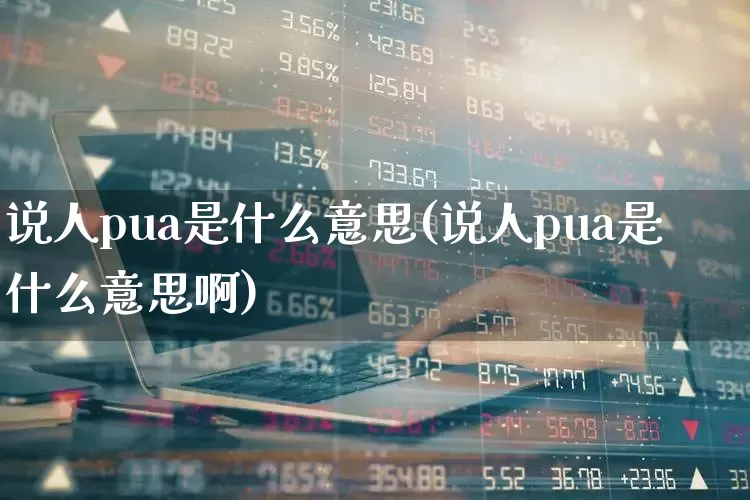 说人pua是什么意思(说人pua是什么意思啊)_https://www.fzdzcxj.com_深交所_第1张