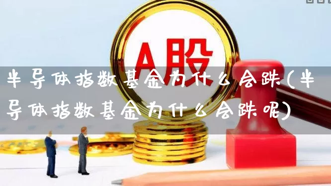半导体指数基金为什么会跌(半导体指数基金为什么会跌呢)_https://www.fzdzcxj.com_科创板_第1张