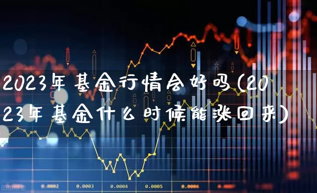 2023年基金行情会好吗(2023年基金什么时候能涨回来)_https://www.fzdzcxj.com_上交所_第1张
