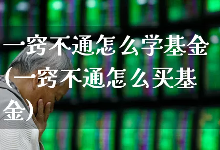 一窍不通怎么学基金(一窍不通怎么买基金)_https://www.fzdzcxj.com_科创板_第1张