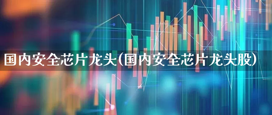国内安全芯片龙头(国内安全芯片龙头股)_https://www.fzdzcxj.com_深交所_第1张
