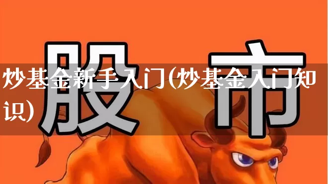 炒基金新手入门(炒基金入门知识)_https://www.fzdzcxj.com_科创板_第1张