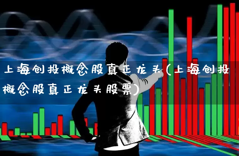 上海创投概念股真正龙头(上海创投概念股真正龙头股票)_https://www.fzdzcxj.com_科创板_第1张