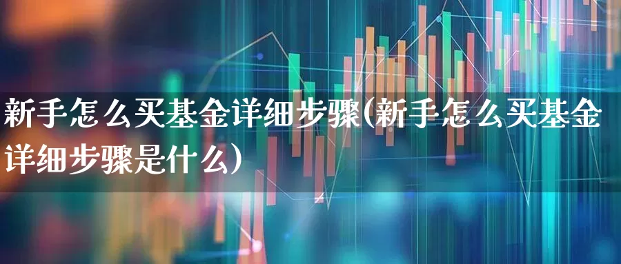 新手怎么买基金详细步骤(新手怎么买基金详细步骤是什么)_https://www.fzdzcxj.com_北交所_第1张