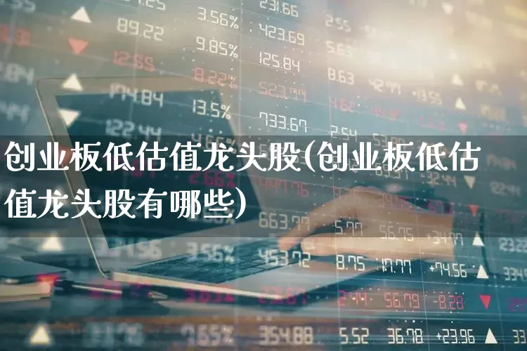 创业板低估值龙头股(创业板低估值龙头股有哪些)_https://www.fzdzcxj.com_深交所_第1张