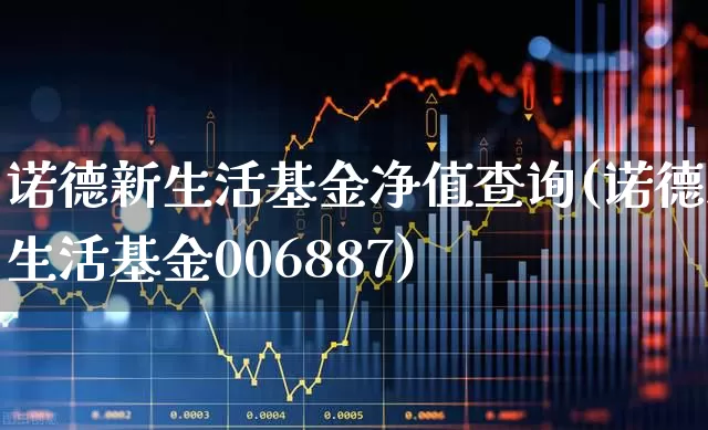 诺德新生活基金净值查询(诺德新生活基金006887)_https://www.fzdzcxj.com_创业板_第1张