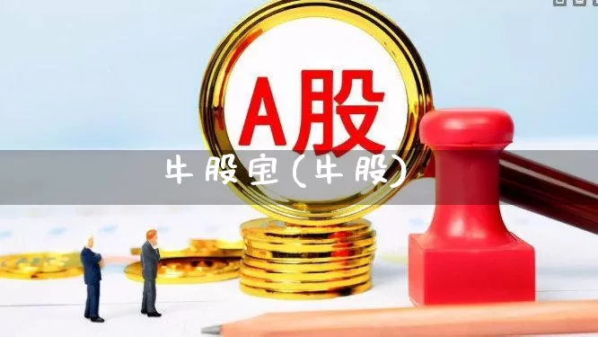 牛股宝(牛股)_https://www.fzdzcxj.com_上交所_第1张
