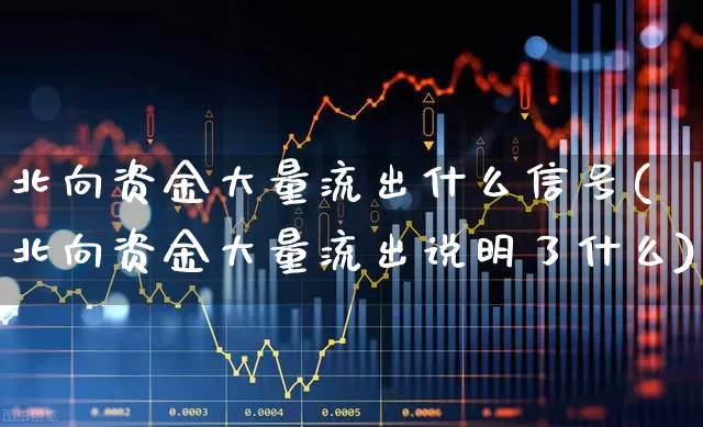 北向资金大量流出什么信号(北向资金大量流出说明了什么)_https://www.fzdzcxj.com_科创板_第1张