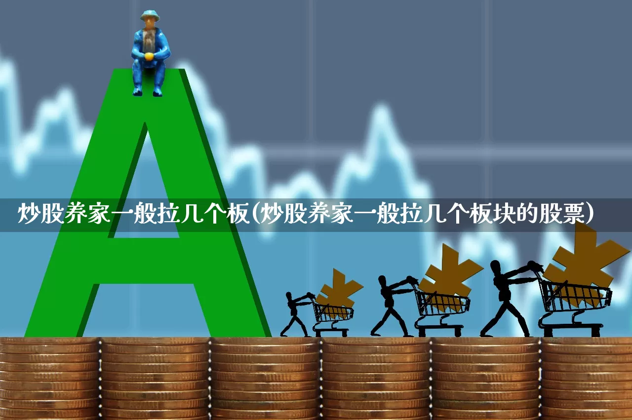 炒股养家一般拉几个板(炒股养家一般拉几个板块的股票)_https://www.fzdzcxj.com_创业板_第1张