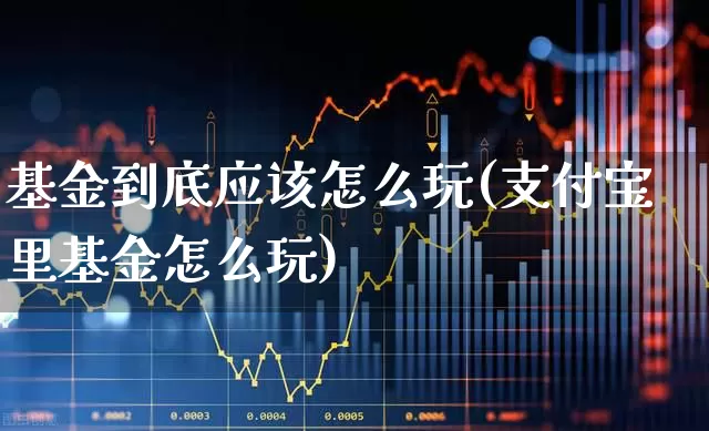 基金到底应该怎么玩(支付宝里基金怎么玩)_https://www.fzdzcxj.com_上交所_第1张