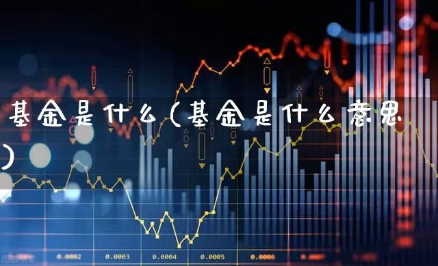 基金是什么(基金是什么意思)_https://www.fzdzcxj.com_深交所_第1张