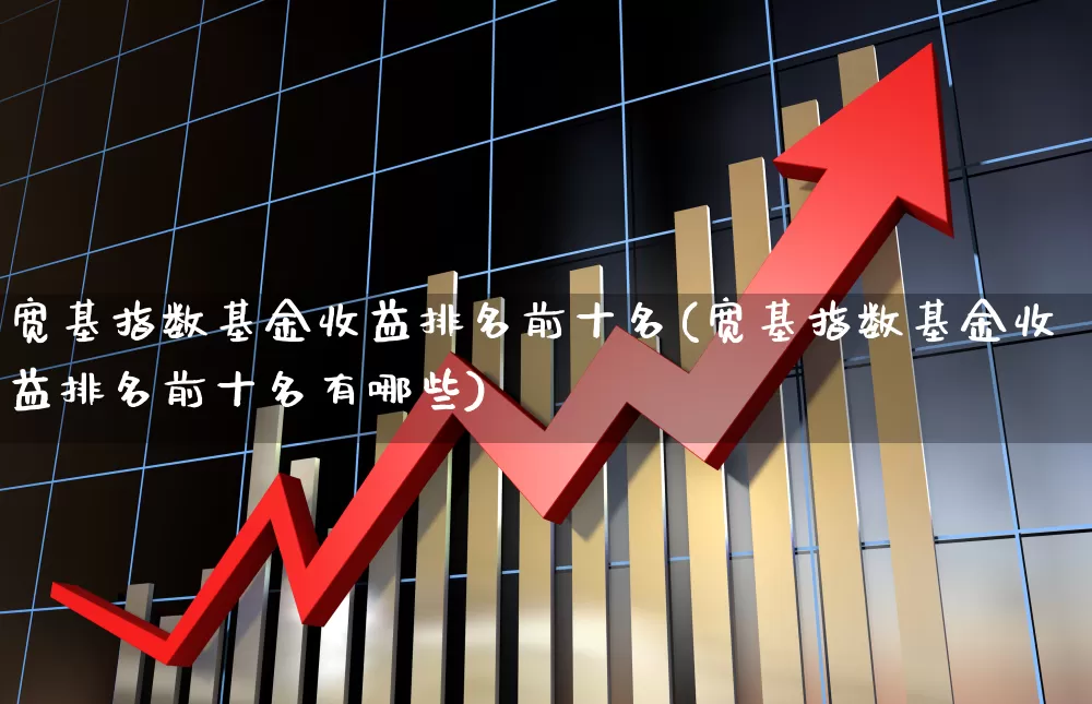 宽基指数基金收益排名前十名(宽基指数基金收益排名前十名有哪些)_https://www.fzdzcxj.com_深交所_第1张