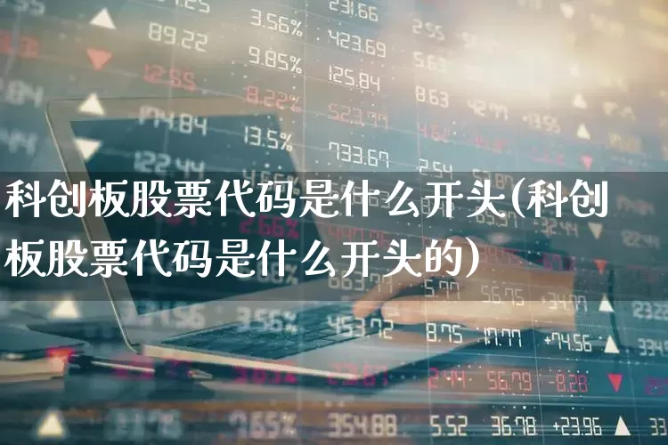 科创板股票代码是什么开头(科创板股票代码是什么开头的)_https://www.fzdzcxj.com_上交所_第1张