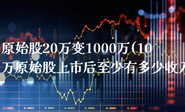原始股20万变1000万(10万原始股上市后至少有多少收入)_https://www.fzdzcxj.com_科创板_第1张