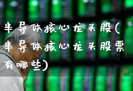 半导体核心龙头股(半导体核心龙头股票有哪些)_https://www.fzdzcxj.com_科创板_第1张