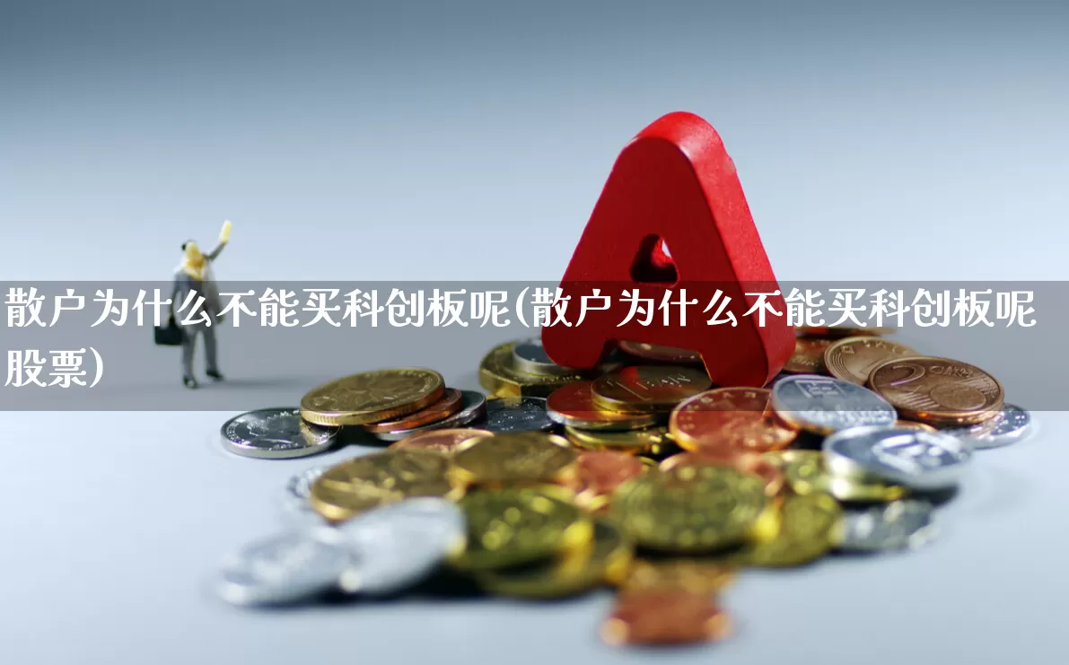 散户为什么不能买科创板呢(散户为什么不能买科创板呢股票)_https://www.fzdzcxj.com_北交所_第1张
