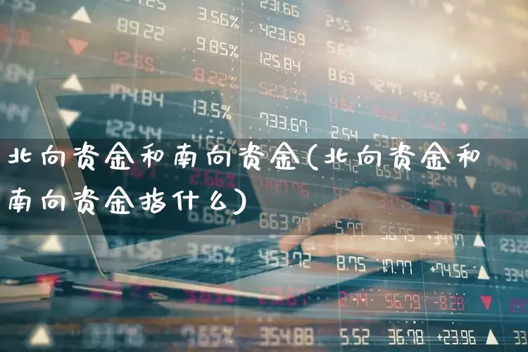 北向资金和南向资金(北向资金和南向资金指什么)_https://www.fzdzcxj.com_深交所_第1张
