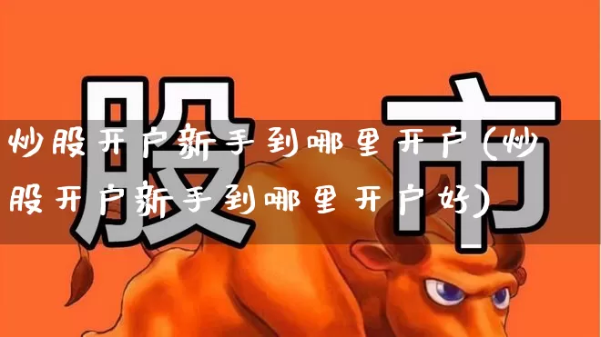 炒股开户新手到哪里开户(炒股开户新手到哪里开户好)_https://www.fzdzcxj.com_深交所_第1张