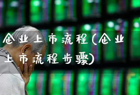 企业上市流程(企业上市流程步骤)_https://www.fzdzcxj.com_创业板_第1张