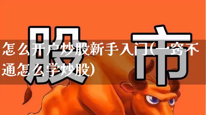 怎么开户炒股新手入门(一窍不通怎么学炒股)_https://www.fzdzcxj.com_上交所_第1张