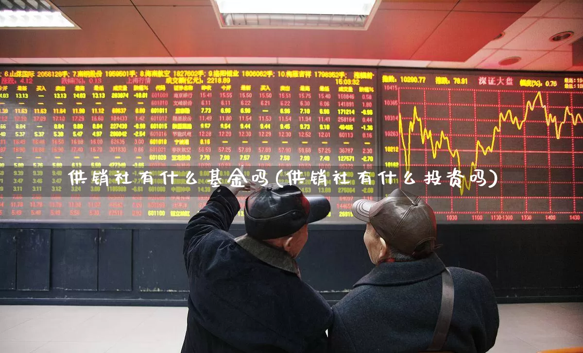 供销社有什么基金吗(供销社有什么投资吗)_https://www.fzdzcxj.com_深交所_第1张