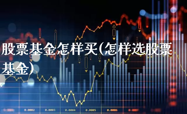 股票基金怎样买(怎样选股票基金)_https://www.fzdzcxj.com_科创板_第1张