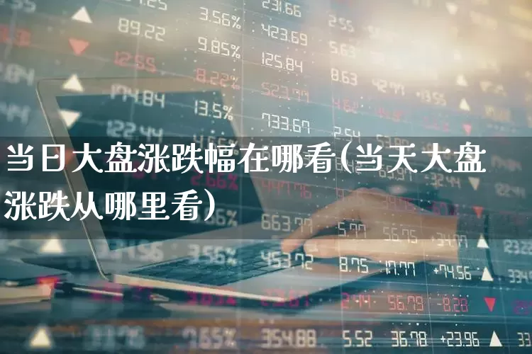 当日大盘涨跌幅在哪看(当天大盘涨跌从哪里看)_https://www.fzdzcxj.com_创业板_第1张