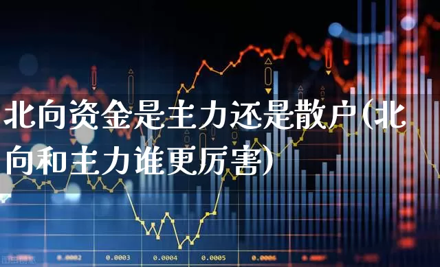 北向资金是主力还是散户(北向和主力谁更厉害)_https://www.fzdzcxj.com_创业板_第1张