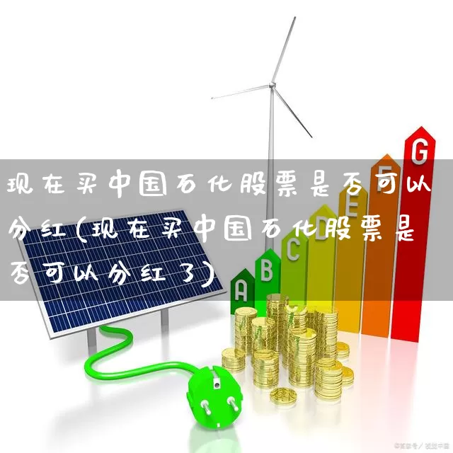 现在买中国石化股票是否可以分红(现在买中国石化股票是否可以分红了)_https://www.fzdzcxj.com_深交所_第1张