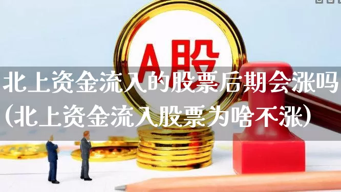 北上资金流入的股票后期会涨吗(北上资金流入股票为啥不涨)_https://www.fzdzcxj.com_科创板_第1张