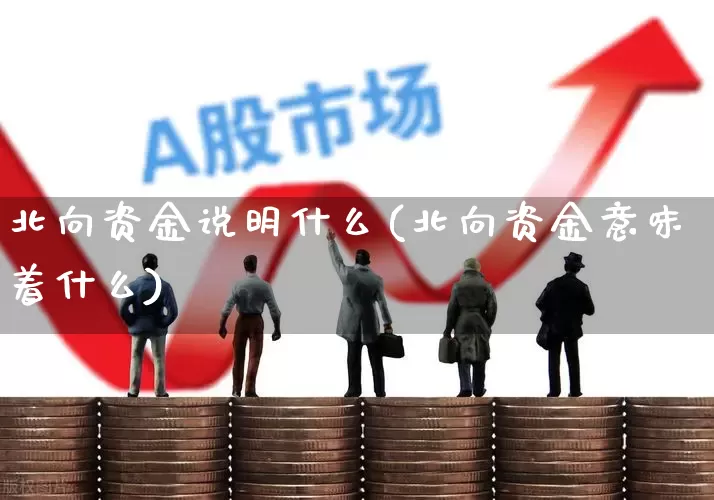 北向资金说明什么(北向资金意味着什么)_https://www.fzdzcxj.com_科创板_第1张