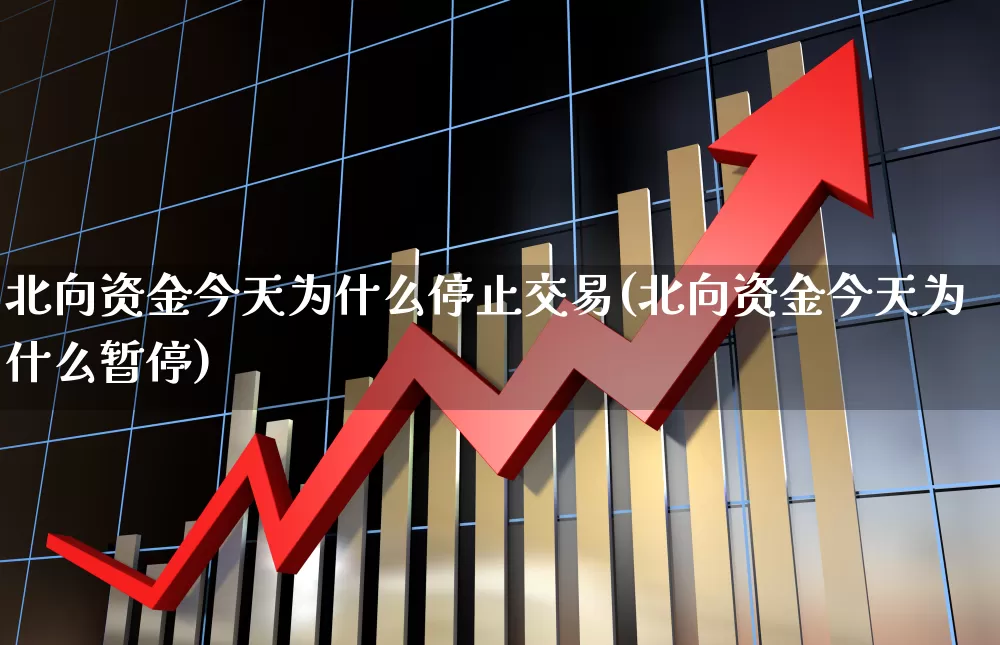 北向资金今天为什么停止交易(北向资金今天为什么暂停)_https://www.fzdzcxj.com_深交所_第1张