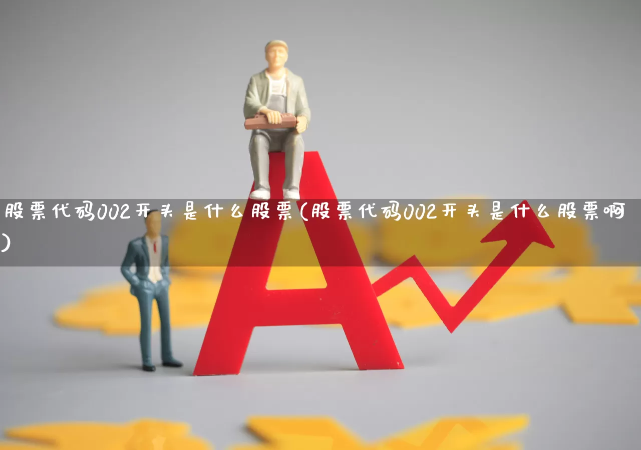 股票代码002开头是什么股票(股票代码002开头是什么股票啊)_https://www.fzdzcxj.com_北交所_第1张