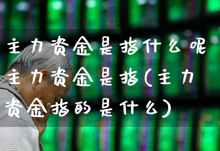 主力资金是指什么呢主力资金是指(主力资金指的是什么)_https://www.fzdzcxj.com_北交所_第1张