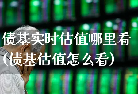 债基实时估值哪里看(债基估值怎么看)_https://www.fzdzcxj.com_北交所_第1张